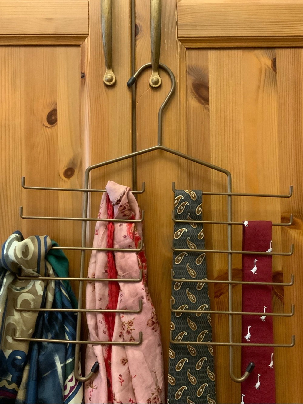 Closet Organizer Rack for Ties, Belts, Scarves - Bronze
